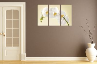 Canvas wset of 3 pieces beautiful white orchid