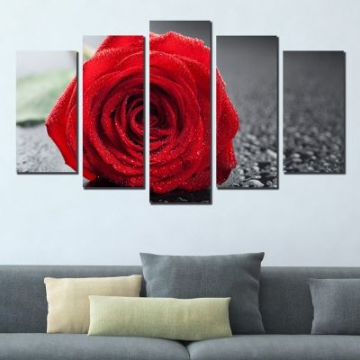 0356 Wall art decoration (set of 5 pieces) Red rose