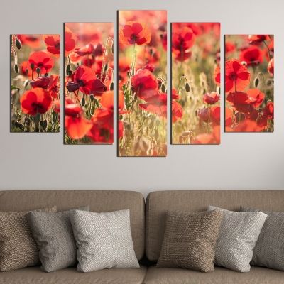 0474 Wall art decoration (set of 5 pieces) Poppies
