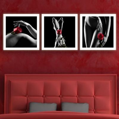 0110 Wall art decoration (set of 3 pieces)  Woman lines