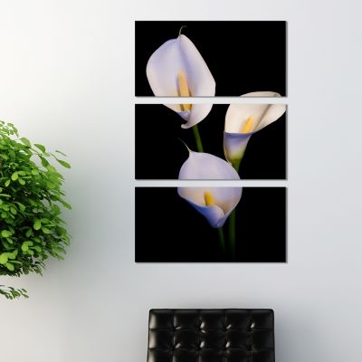 0199 Wall art decoration (set of 3 pieces) Calla lilies