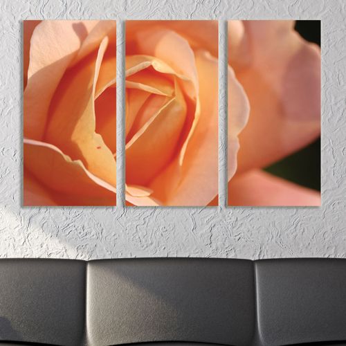 0072 Wall art decoration (set of 3 pieces) Orange rose