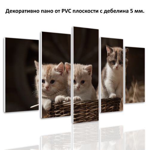 0541 Wall art decoration (set of 5 pieces) Sweet cats