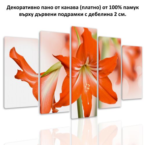 0202 Wall art decoration (set of 5 pieces) Lilium