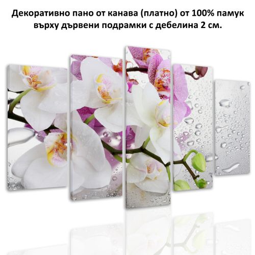 0326 Wall art decoration (set of 5 pieces) White and purple orchids