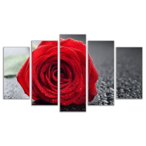 0356 Wall art decoration (set of 5 pieces) Red rose