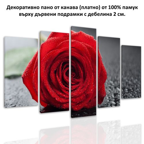 0356 Wall art decoration (set of 5 pieces) Red rose