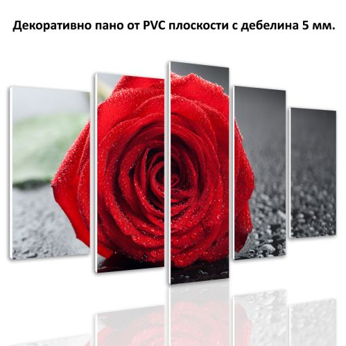 0356 Wall art decoration (set of 5 pieces) Red rose