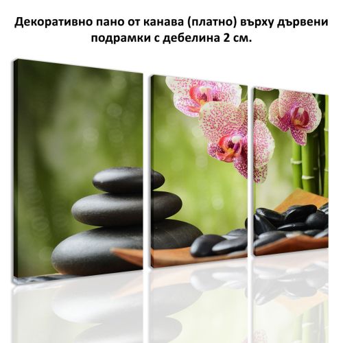 0120  Wall art decoration (set of 3 pieces) SPA stones and orchids