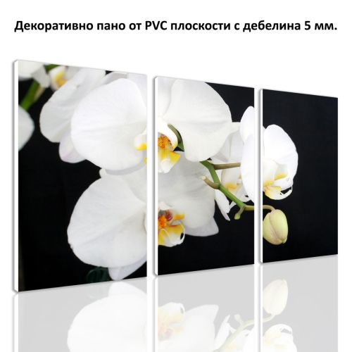 0138 Wall art decoration (set of 3 pieces) White orchid on a black background