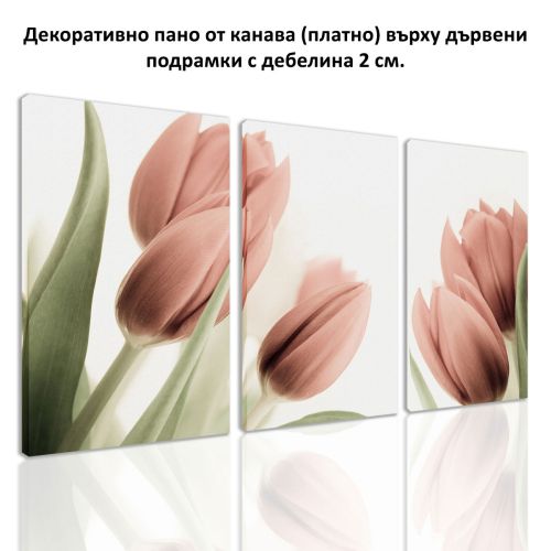 0141 Wall art decoration (set of 3 pieces) Soft pink tulips