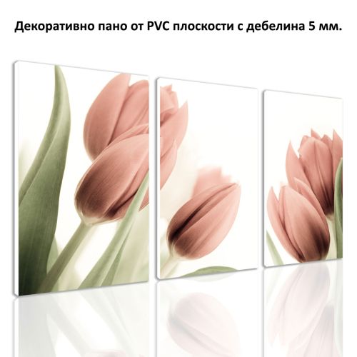 0141 Wall art decoration (set of 3 pieces) Soft pink tulips