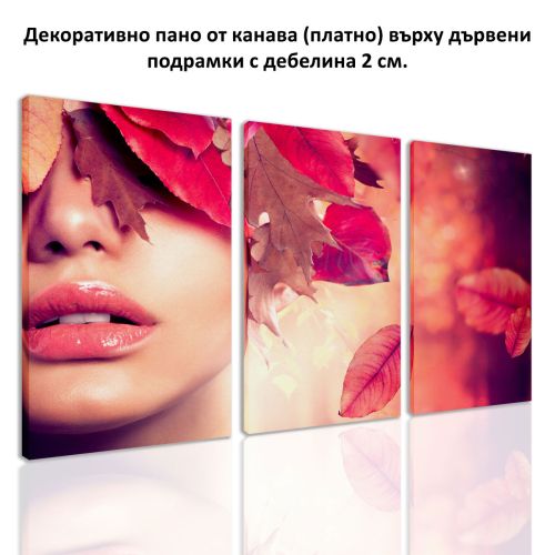 0212 Wall art decoration (set of 3 pieces) Autumn kiss